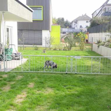 18.-Rankgitter-an-Terrasse-mit