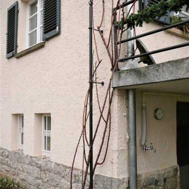 17.-Geschmiedete-Rankstange-an-Hauswand