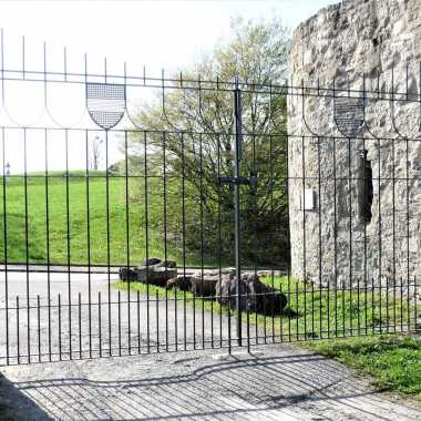 07.2-Rahmenloses-Haupttor-mit-Wappen-an-Burgeinfahrt-Pulverbeschichtet